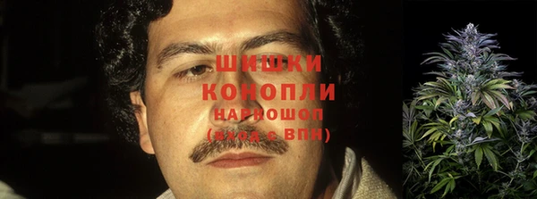 твердый Новодвинск