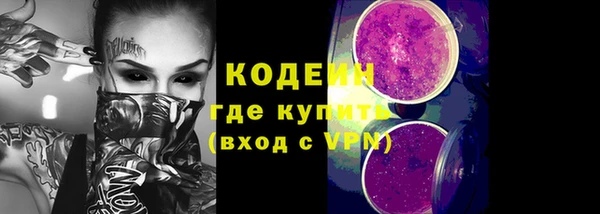 твердый Новодвинск