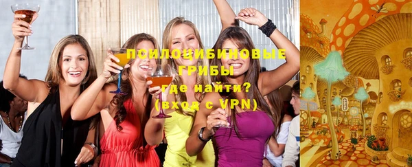 твердый Новодвинск
