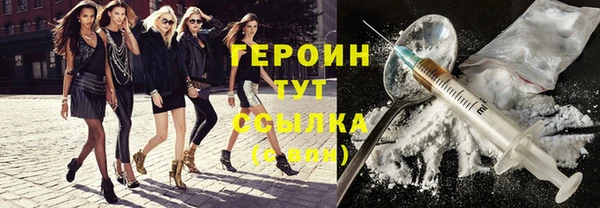 твердый Новодвинск