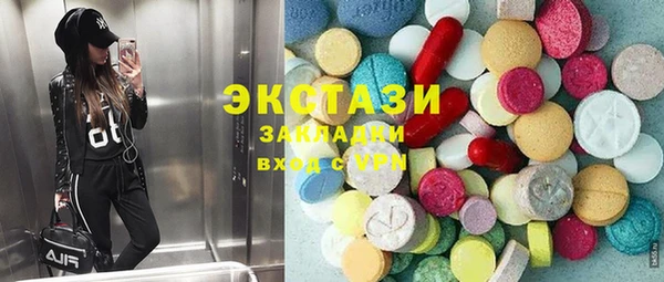 твердый Новодвинск