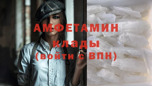 твердый Новодвинск