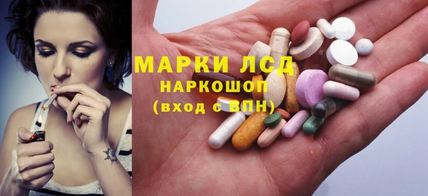 твердый Новодвинск