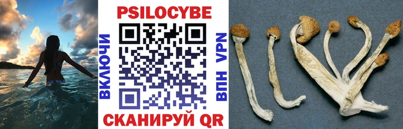 Псилоцибиновые грибы мицелий  ОМГ ОМГ ССЫЛКА  Орск  наркотики 