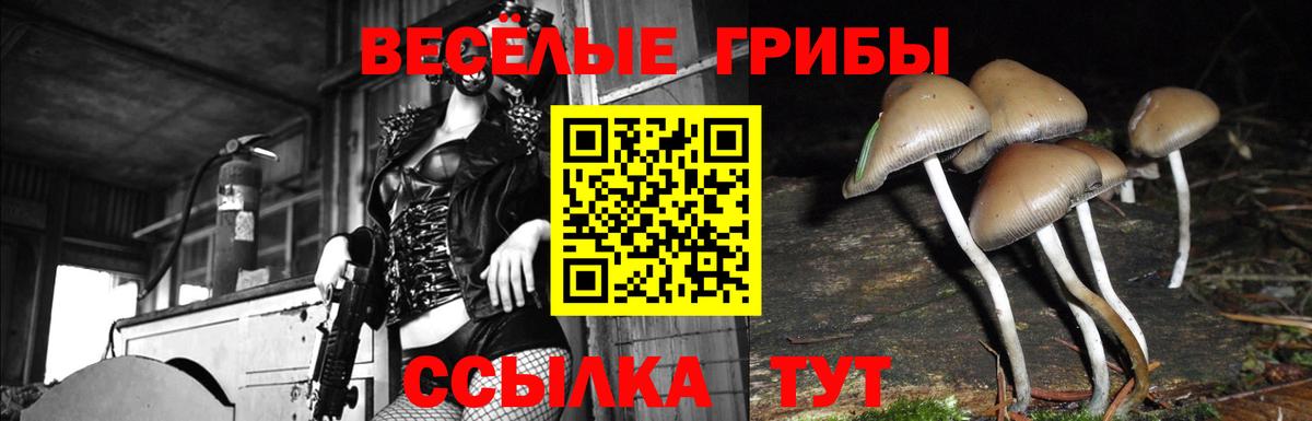 Орск  Галлюциногенные грибы MAGIC MUSHROOMS  Вход с VPN 
