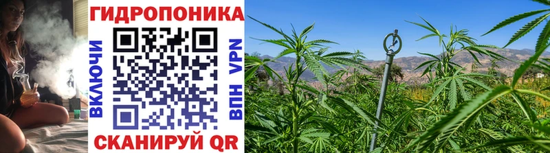 MEGA онион закладки Орск Каннабис планчик